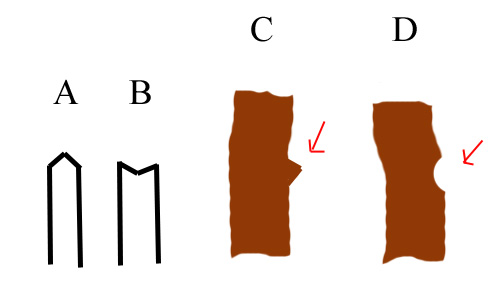 schmieda_schnittflächen.jpg