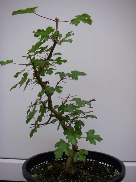 90-Grad-Drehung