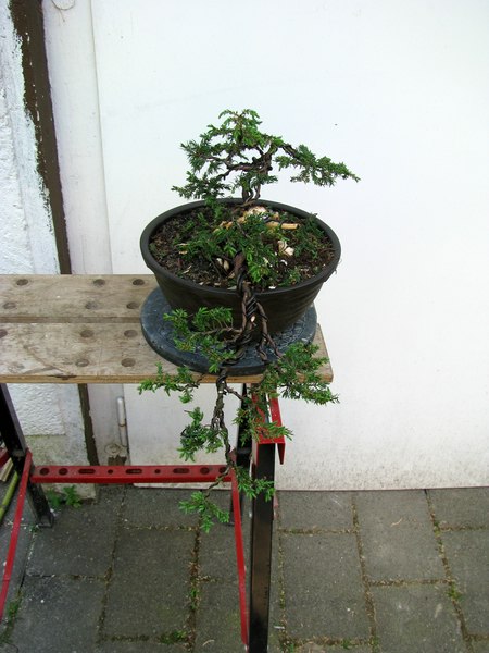 Draufsicht