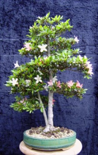 25.05.2008 007.jpg