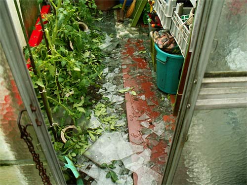 tomaten_KANN_man_auch_kaufe.jpg