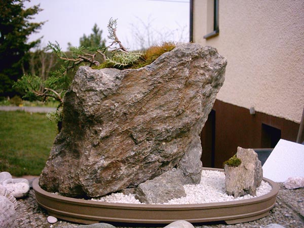 BonsaiPenjing-04413.jpg