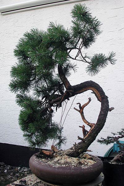 Dscn9008v.jpg