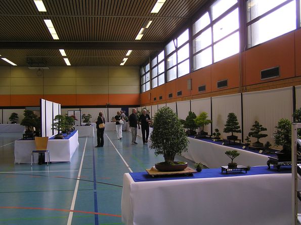 neue Bilder 840130.jpg