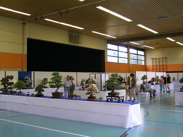 neue Bilder 840129.jpg