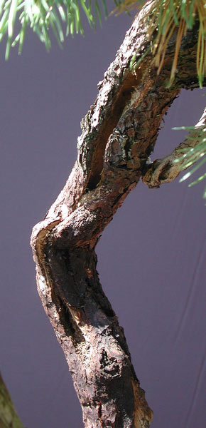 Dscn8784v.jpg