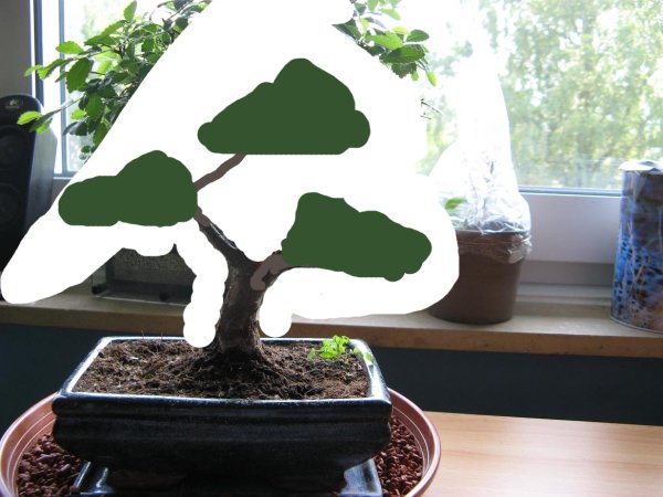 img3349ws7_idee.jpg