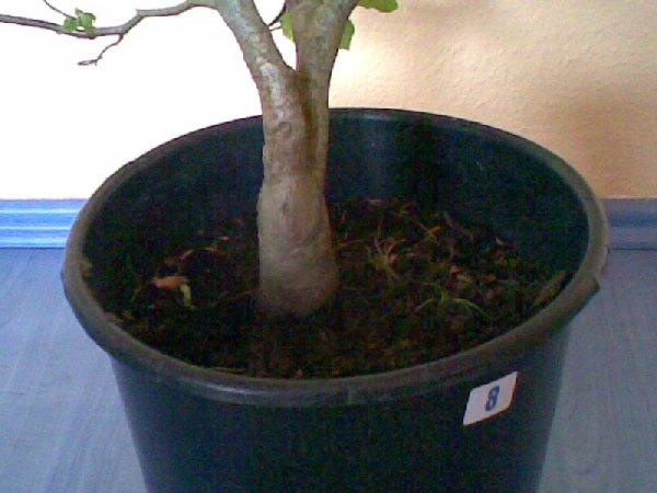 Bild001_600x450.jpg