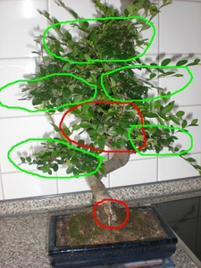 comp_CIMG0003 bearbeitet.jpg