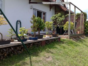 16062008186a.jpg