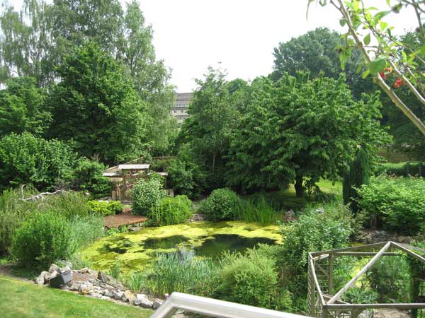 Garten-003.jpg