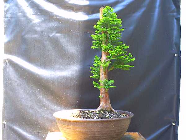 101-0004.JPG