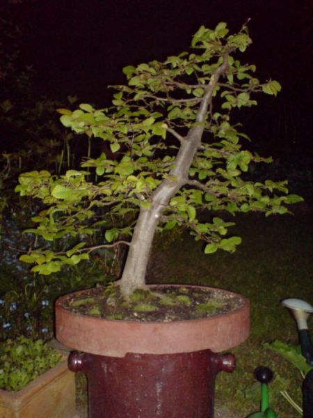 DSC01493.JPG