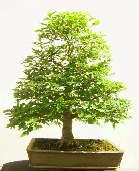 DSCN1704.JPG