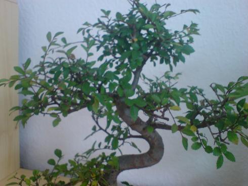 DSC00221.JPG