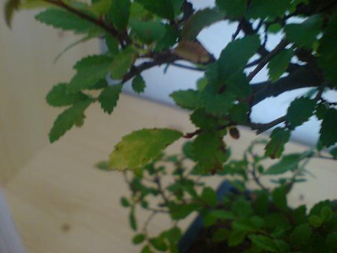 DSC00218.JPG