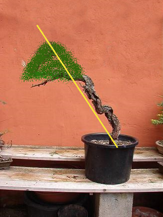 Kiefer Bewegung.JPG