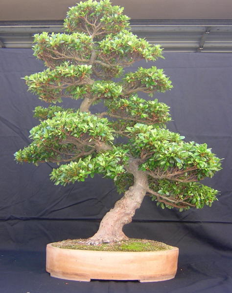 DSCN1717.JPG