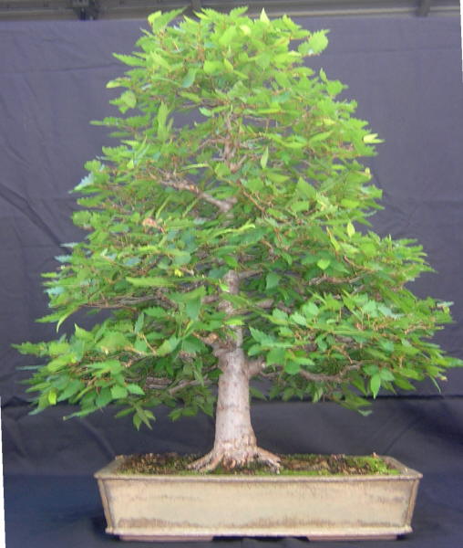 DSCN1716.JPG