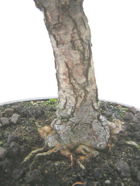 DSCN1721.JPG