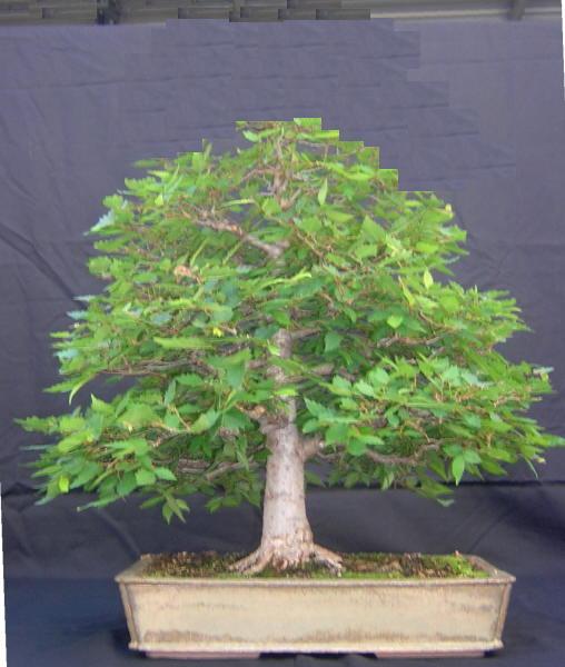 dscn1716.jpg