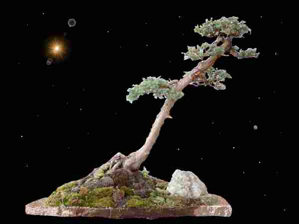 Starfield-Grandma1.JPG