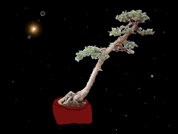 Starfield-Grandma3.JPG