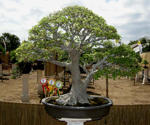 DSCN3030.jpg