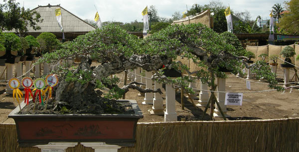 DSCN3023.jpg