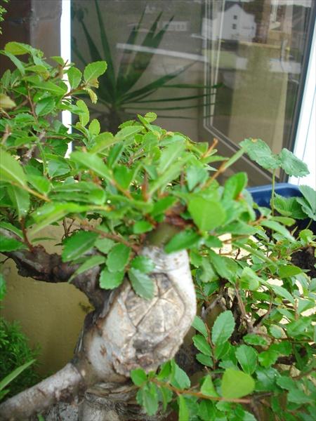 DSC01511.JPG