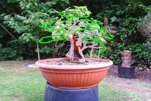 mal eine grobe skizze, wie es auch möglich wäre. würde auch etwas das vasenhafte des baumes nehmen.