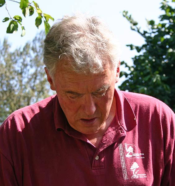 Walter-Pall,-Late-summer-m2.jpg