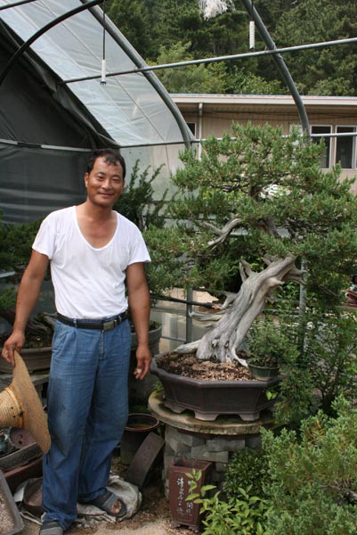 bonsai6.jpg