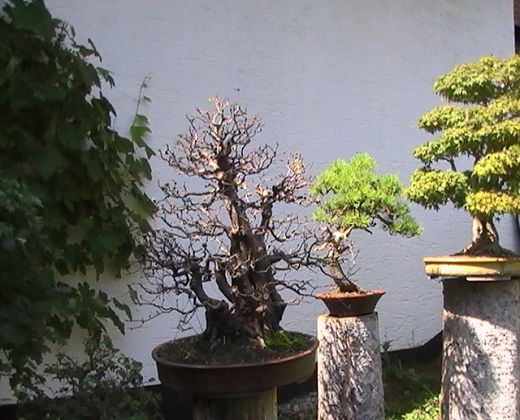 A-PIC_0109.JPG