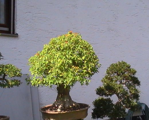 A-PIC_0113.JPG