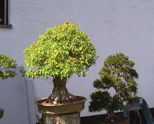 A-PIC_0114.JPG