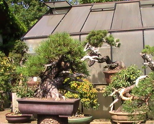 A-PIC_0117.JPG