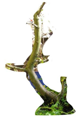 2008-09-19_Virtual.jpg