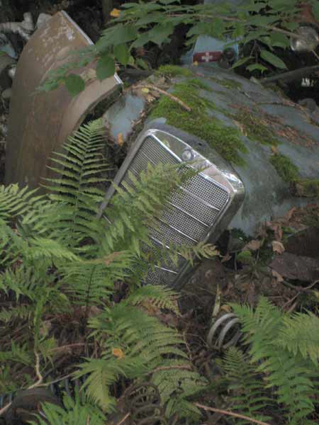 friedhof6.jpg