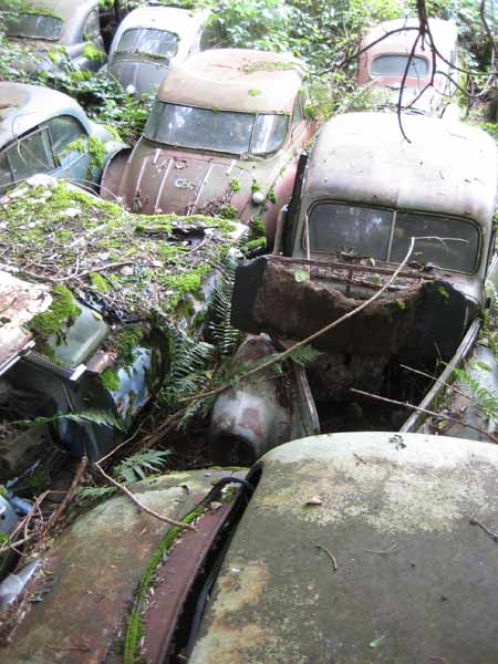 friedhof5.jpg