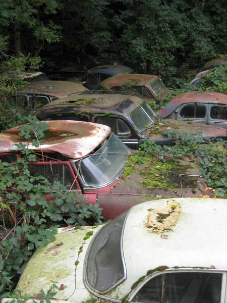 friedhof3.jpg
