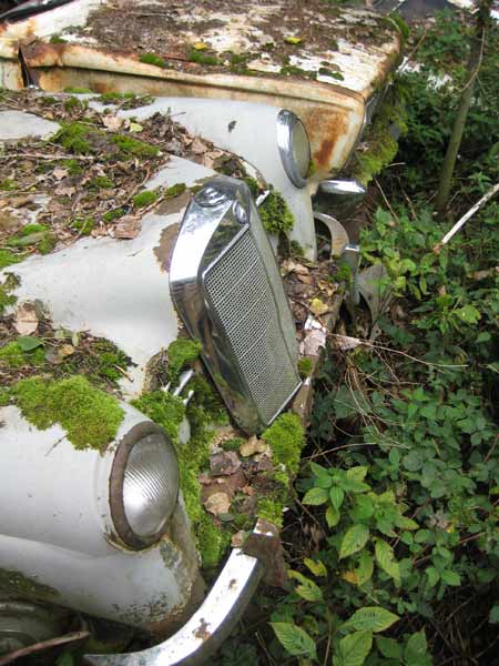 friedhof8.jpg
