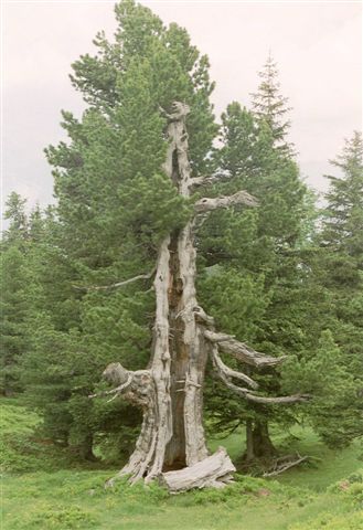 8640_3.jpg