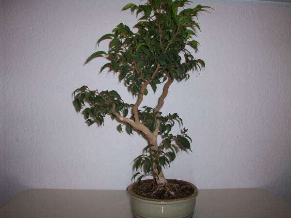Bild 002.jpg
