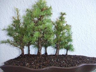 k-DSCF0301.JPG