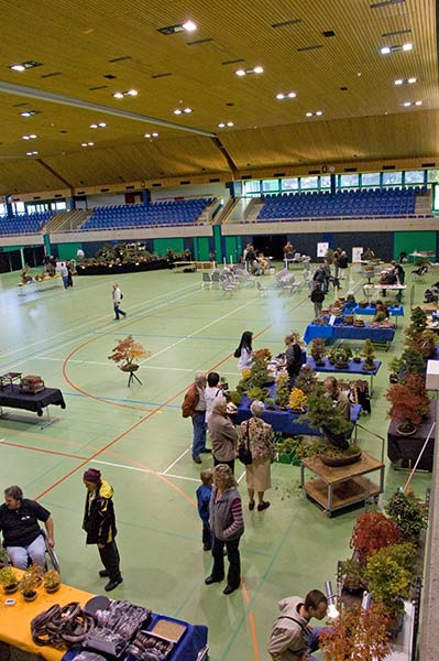DSC_4254v.jpg