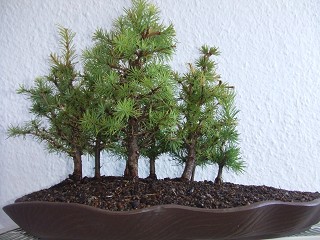 k-DSCF0305.JPG