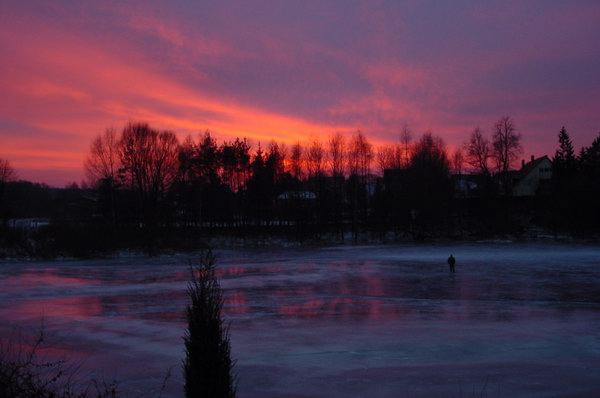 Ein einsamer Eisläufer. Ist das nicht idyllisch? Blick vom Küchenfenster.
