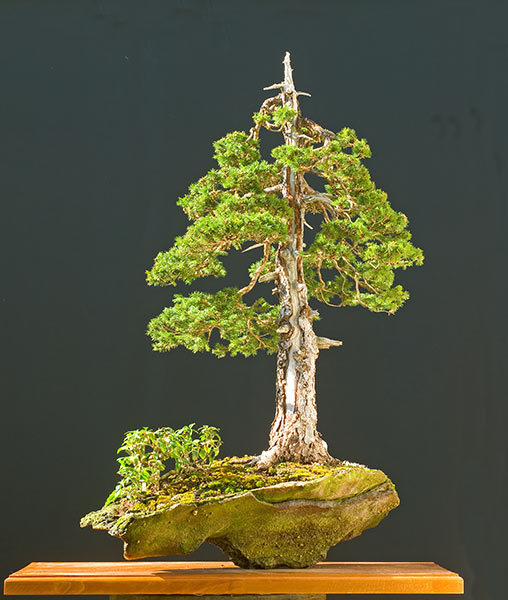 NSC_6790ofv.jpg