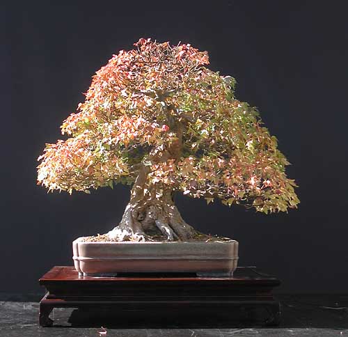 Dscn6653v1.jpg